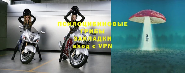 стафф Михайловка