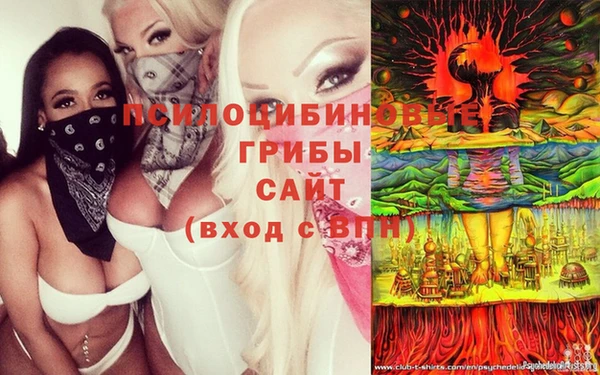 стафф Михайловка