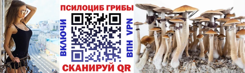 Псилоцибиновые грибы прущие грибы  Купить закладки  Серафимович 